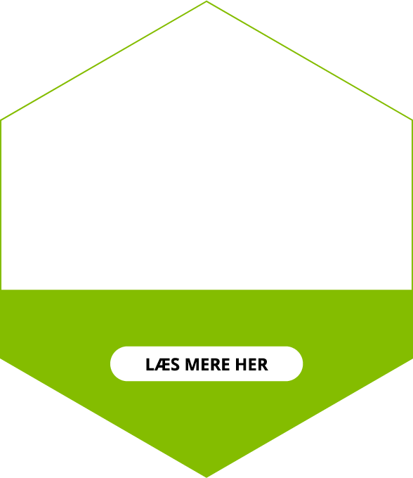 Grøn polygon
